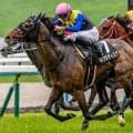 【博多S】半姉は名牝リスグラシュー ネブラディスクがオープン昇級狙う