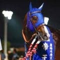 【大井・帝王賞】上半期のダート路線締めくくる大一番 好メンバー13頭が集う