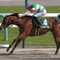 【大沼S】25年ユニコーンS覇者のカナルビーグル 約1年1カ月ぶりの復帰戦だ