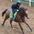 【ＰＯＧ】福永厩舎の２・４億円馬ベルコートは中京開幕週でデビューへ　兄にグレナディアガーズなど