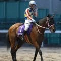 【注目馬動向】交流の「鬼」が新天地へ　重賞９勝のシャマルが競走馬登録抹消で地方移籍