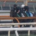 ジーティーアダマン、小倉記念2週前追い切り速報/栗東トレセンニュース