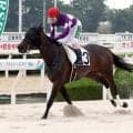 【園田競馬】下原理騎手が７Ｒで地方通算４０００勝を達成「兵庫競馬の長い歴史のなかで、この成績を残せたのはうれしい」