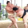 豊昇龍、精力的に１７番　横綱初Ｖへ「意味があるいい稽古をしていきたい」…１２日初日・名古屋場所