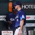 【西武】ワイナンスが４回７失点で試合壊した　初回だけで33球、うちボール球19球
