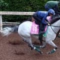 【北九州記念】新コンビの川田将雅騎手で併入のデアヴェローチェはＧ１参戦への試金石　上村調教師「勝ち負けすれば…」