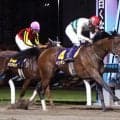 【注目馬動向】関東オークスＶのペンダントはブリーダーズＧＣを視野　ココナッツブラウンは北村友一騎手とクイーンＳ