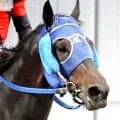【帝王賞】Ｇ１級５度目の挑戦アウトレンジは２年連続２着　昨年の雪辱ならず