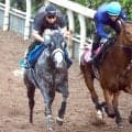【北九州記念】昨年の勝ち馬ヤマニンアルリフラは力強い動き　斉藤崇調教師が挙げる連覇へのカギとは