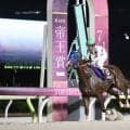 【帝王賞】ミッキーファイトが連覇達成！磐石の競馬でライバル完封