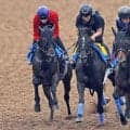 【注目馬動向】カラマティアノスは七夕賞で岩田康誠騎手と初コンビ　主戦の津村明秀騎手が騎乗停止のため