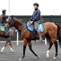【大沼Ｓ】ユニコーンＳの覇者カナルビーグルが１年１か月ぶりに復帰　陣営「この馬の力を出してくれれば」