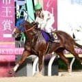 【大井競馬・帝王賞】ミッキーファイトが単勝１・７倍の圧倒的人気に応え快勝　２２、２３年のメイショウハリオ以来、２頭目連覇を達成