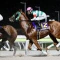 【帝王賞】直線入口では勝利もよぎる脚色…セラフィックコールが見せ場演出の4着