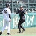 阪神・嶋村が１軍に合流　直近のファームでは広島栗林から一発を放つ