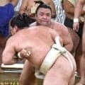 横綱昇進を目指す霧島、番付発表後初の出稽古　藤ノ川ら相手に１０番で全勝「気持ちよかった。筋肉もしっかりついて、いい感じ」