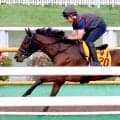 【大沼Ｓ】プロミストジーンは馬なりで仕上がり良好　陣営は舞台替わり歓迎「地方で小回りを経験をしているのも大きい」