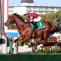 藤田晋オーナーのソンシが電撃引退　今年の阪急杯でレコードＶ　ニュージーランドで種牡馬入りへ