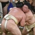 幕内・藤ノ川が１９番　出稽古先の佐渡ケ嶽部屋に徒歩１０分「毎年稽古を積んでいるので、僕の稽古場がここみたいな感じ」…１２日初日・名古屋場所