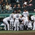 【阪神】現ドラ加入の浜田太貴２戦連続スタメン　23年ドラ１下村海翔はプロ初勝利目指す／一覧