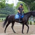 ピコチャンブラックは七夕賞を回避　追い切り後に歩様が乱れたため