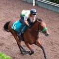 【ＰＯＧ】皐月賞馬ジャスティンミラノの半弟ジャンゴッドが５日小倉で初陣　陣営「新馬としては仕上がっている」