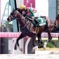 【大井競馬】好調ルヴァンスレーヴ産駒から新たな好素材　森下淳平厩舎ゆかりの血統アドバンスミヤギ