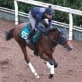 【ＰＯＧ】Ｇ１馬パンジャタワーの半弟　パイロ産駒のタケルレジェンドがデビュー　高柳大調教師「やっぱり走りからするとダートかな」