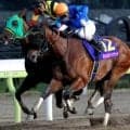 JBCレディスクラシック覇者の初仔 クロダテがデビュー勝ちなるか