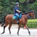 【ＰＯＧ】４日福島６Ｒでデビュー　良血クロダテが状態の良さアピール　田中博調教師「能力は高いのかな」母はＪｐｎ１制覇