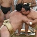 関脇・琴勝峰、名古屋場所連覇へ「立ち合いの感覚と、圧力を意識していきたい」
