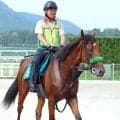 ジャスティンミラノの半弟「仕上がっている」ジャンゴッド５日小倉５Ｒデビュー