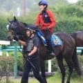 【ジュライＳ・金曜気配】ニシキギミッチーに一発ムード！　鈴木伸調教師「状態はすごくいいよ」