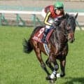【七夕賞想定馬・騎手】カラマティアノス、ヤマニンブークリエなど20頭