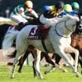 白毛一族だけど鹿毛 ウィモウェがデビュー勝ちなるか