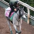 【北九州記念・金曜気配】重賞連勝狙うデアヴェローチェはいい状態キープ　上村調教師「ここを勝つようならＧ１に...」