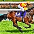 「ウマ娘」藤田晋オーナーの2.9億円馬 ジャンゴッドがデビュー勝ち狙う