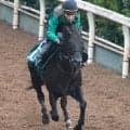 【北九州記念・金曜気配】道悪巧者オタルエバーがハンデ５６キロで反撃　陣営「だいぶ雰囲気が良くなってきたた」