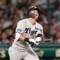 【阪神】高校野球のスターたちが投打で躍動！前川右京２号ソロ＆今朝丸裕喜プロ初登板