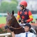 半兄は菊花賞馬 セレクト2.5億円のユマハムが初勝利狙う