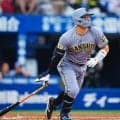 「楽しんで！！」阪神佐藤輝明が高校球児にエール　甲子園を目指す地方大会は４日から本格化