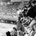 最後の放棄試合は？スイングの判定で…【プロ野球記録企画】
