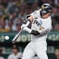 阪神・前川　今季初聖地弾！意地の唯一点　五回ソロで５９日ぶり２号「いい角度で上がったのでいい打球に」
