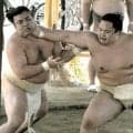 琴勝峰　名古屋連覇へ動き上々　番付上げての帰還に「でも挑戦は変わらない。まだまだ上へ」大関昇進を見据える
