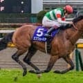 ミックスセール出身のエフフォーリア産駒として初勝利なるか スタースポットに要注目だ