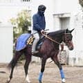 【４日の注目・函館８Ｒ】３・９億円馬ダノンヒストリー復活なるか　新馬でクロワデュノール級の走り見せた期待馬が復帰戦