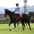 【４日の注目・函館４Ｒ】良血馬ホウオウザロイヤルがついにデビュー　母は０８年秋華賞馬のブラックエンブレム