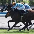 博多Sは波乱傾向か 4歳馬の活躍に注目だ