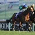 【仏サンクルー大賞】世界最強馬カランダガンが連覇へ！「本来の姿を見せてくれるはず」陣営は巻き返しに自信