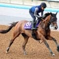 【注目馬動向】２４年桜花賞馬のステレンボッシュは新潟記念へ　社台グループオーナーズが発表